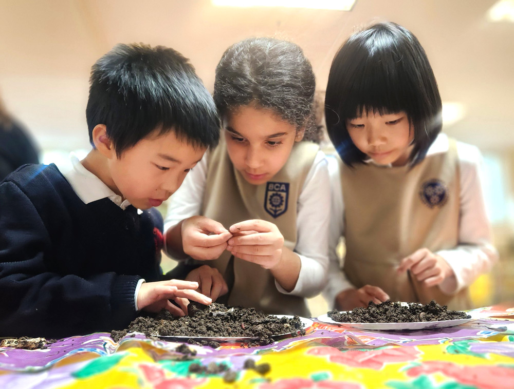 IB & STEAM Education